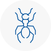 Ant Removals In Bradford