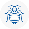 Bed Bug Extermination In Bradford