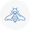 Bee Nest Removal Bradford