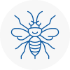 Bradford Hornet Nest Removals