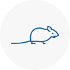 Mice Exterminators In Bradford