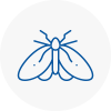 Moth Control Specialists In Bradford