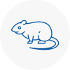 Rat Control Bradford