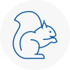 Bradford Rodent Removals