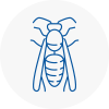 Bradford Wasp Nest Removal